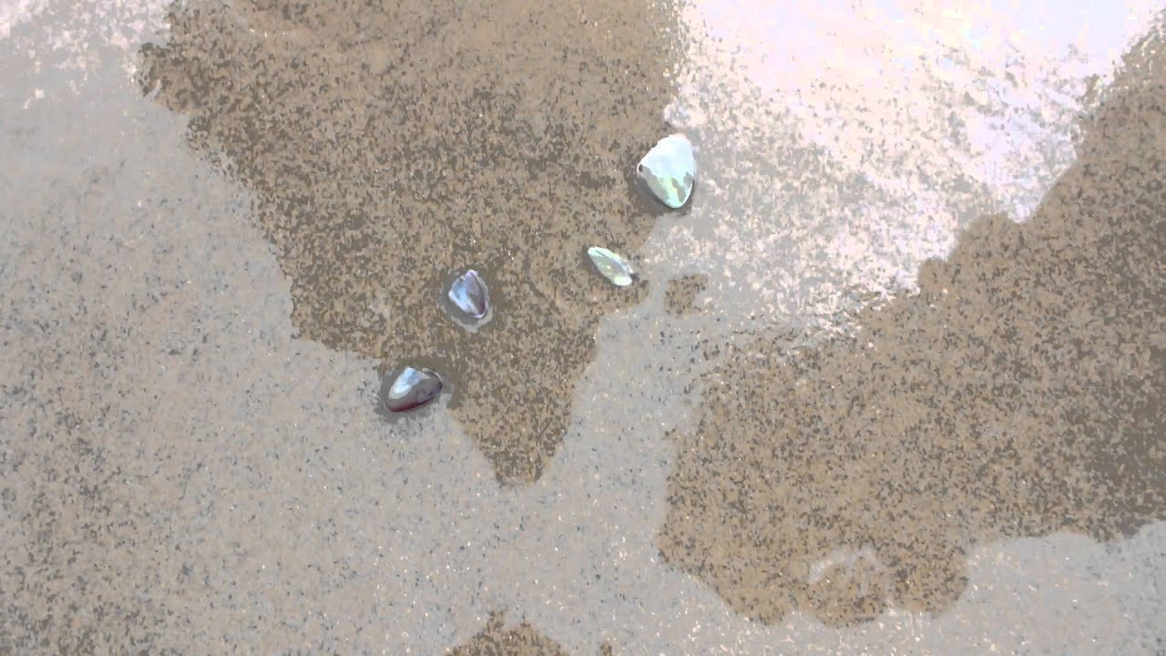 Pippis verbuddeln sich im Sand :)