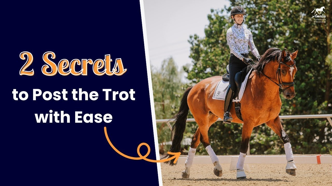 How to Post the Trot Correctly