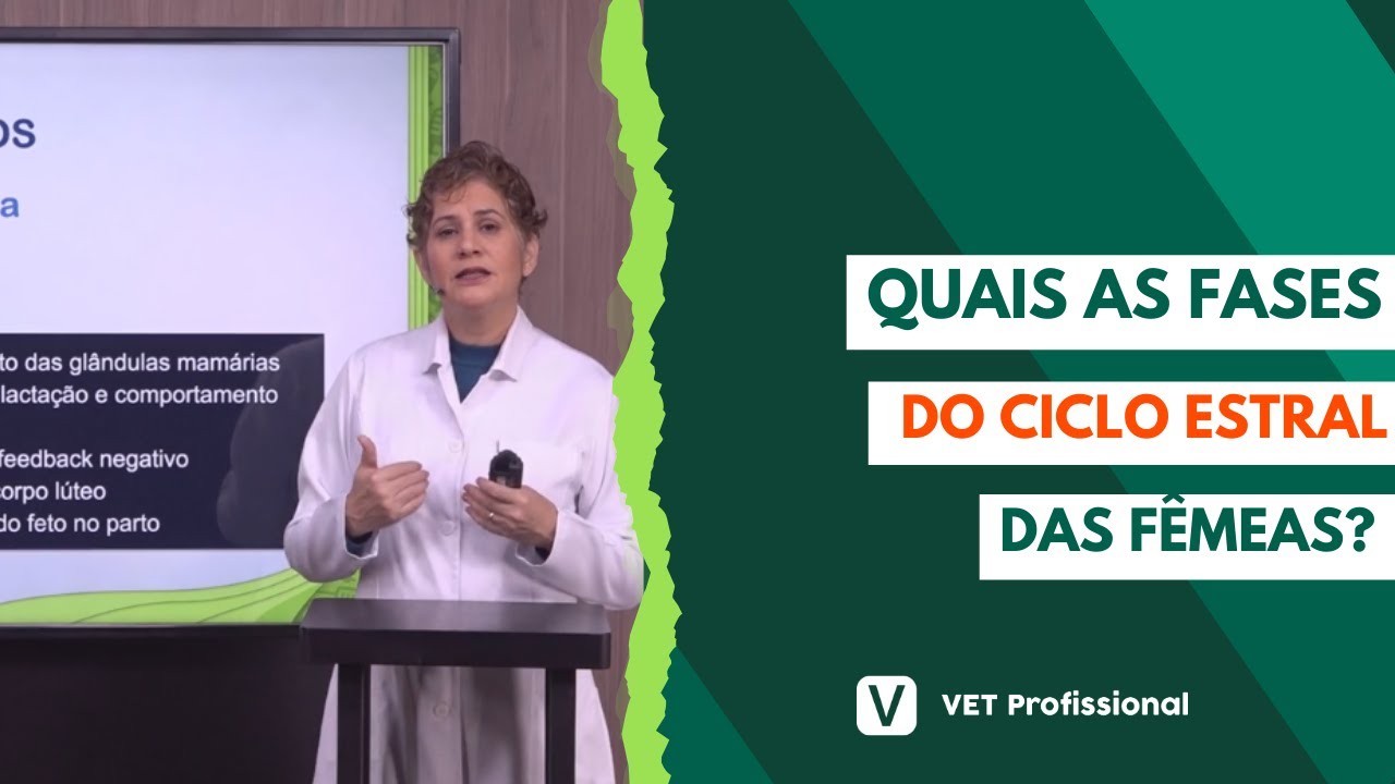 Fisiologia veterinária: sistema reprodutor das fêmeas