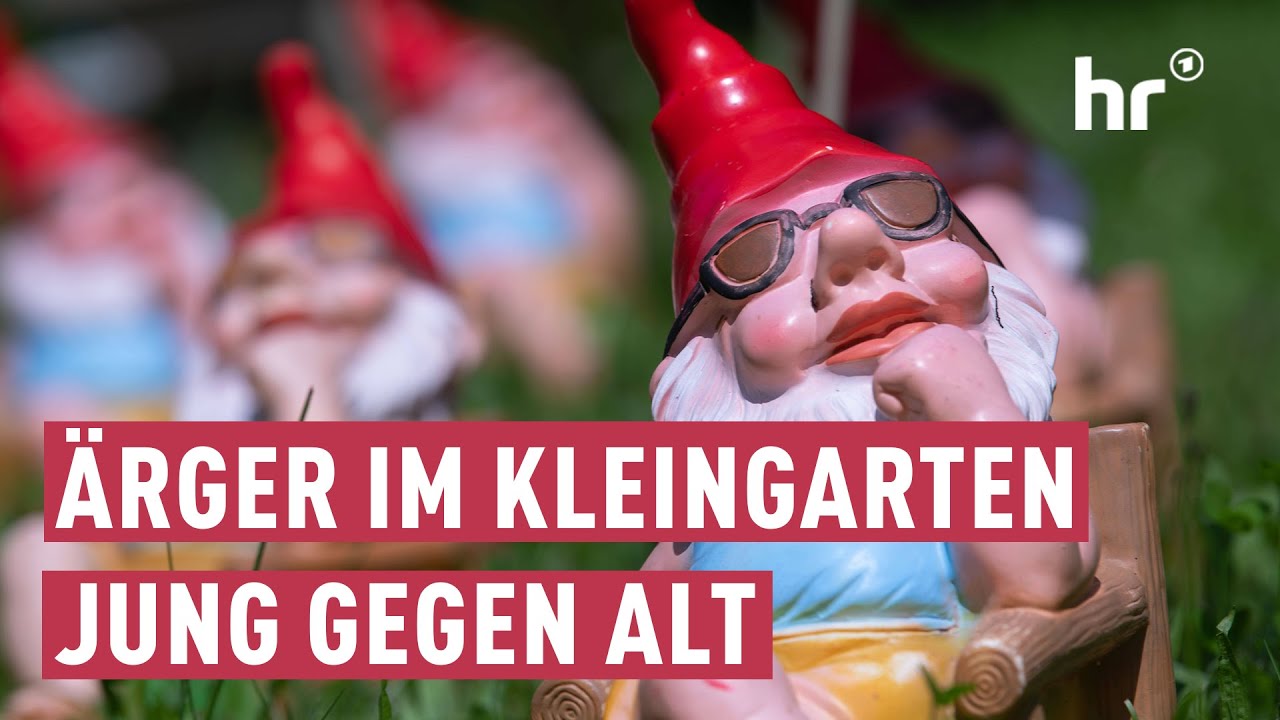 Schrebergarten-Kult:  Wenn die Jungen auf die Alten treffen | maintower