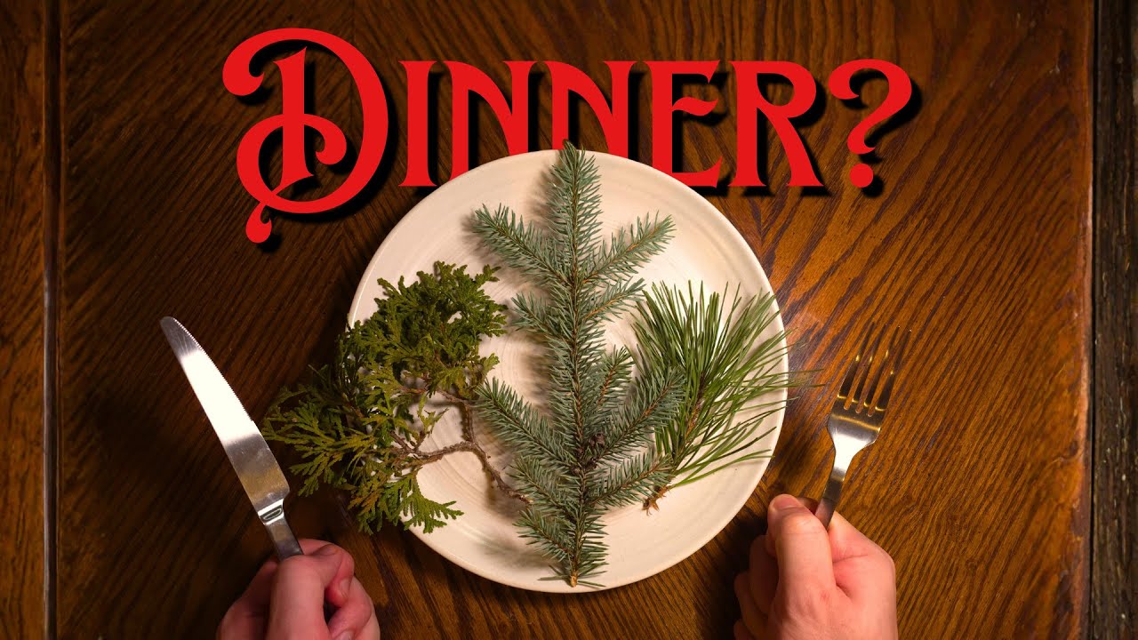 Which Christmas Tree Tastes the Best? (ft. Zach)