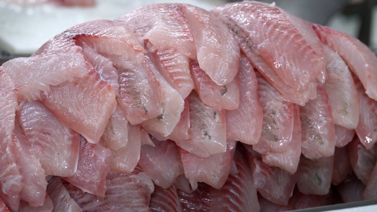 TESS Contabilidade assume 25% da Ala Pescados e foca na expansão, modernização e exportação