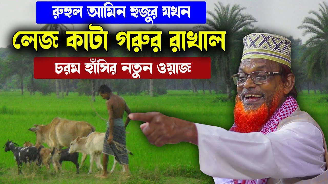 হুজুর যখন লেজ কাটা গরুর রাখাল । রুহুল আমিন যুক্তিবাদী ওয়াজ । Ruhul Amin Juktibadi waz | Bushra TV