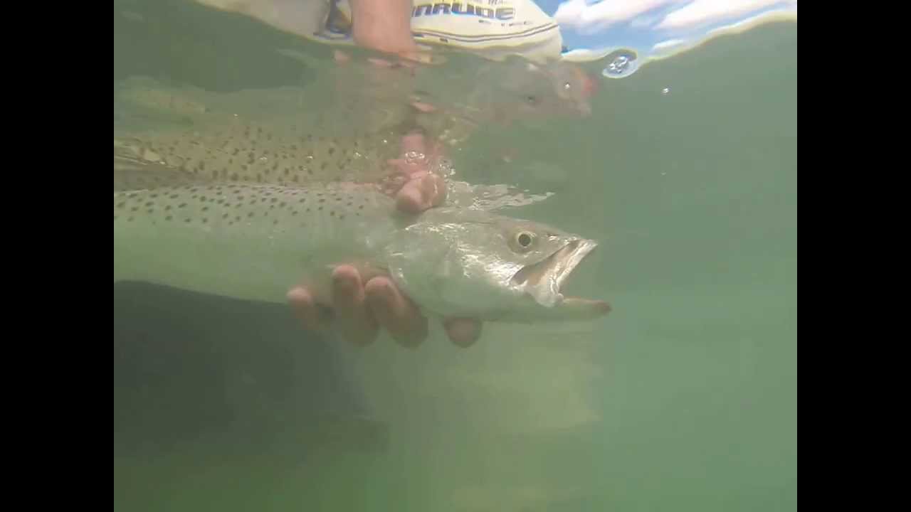trout bites hand off
