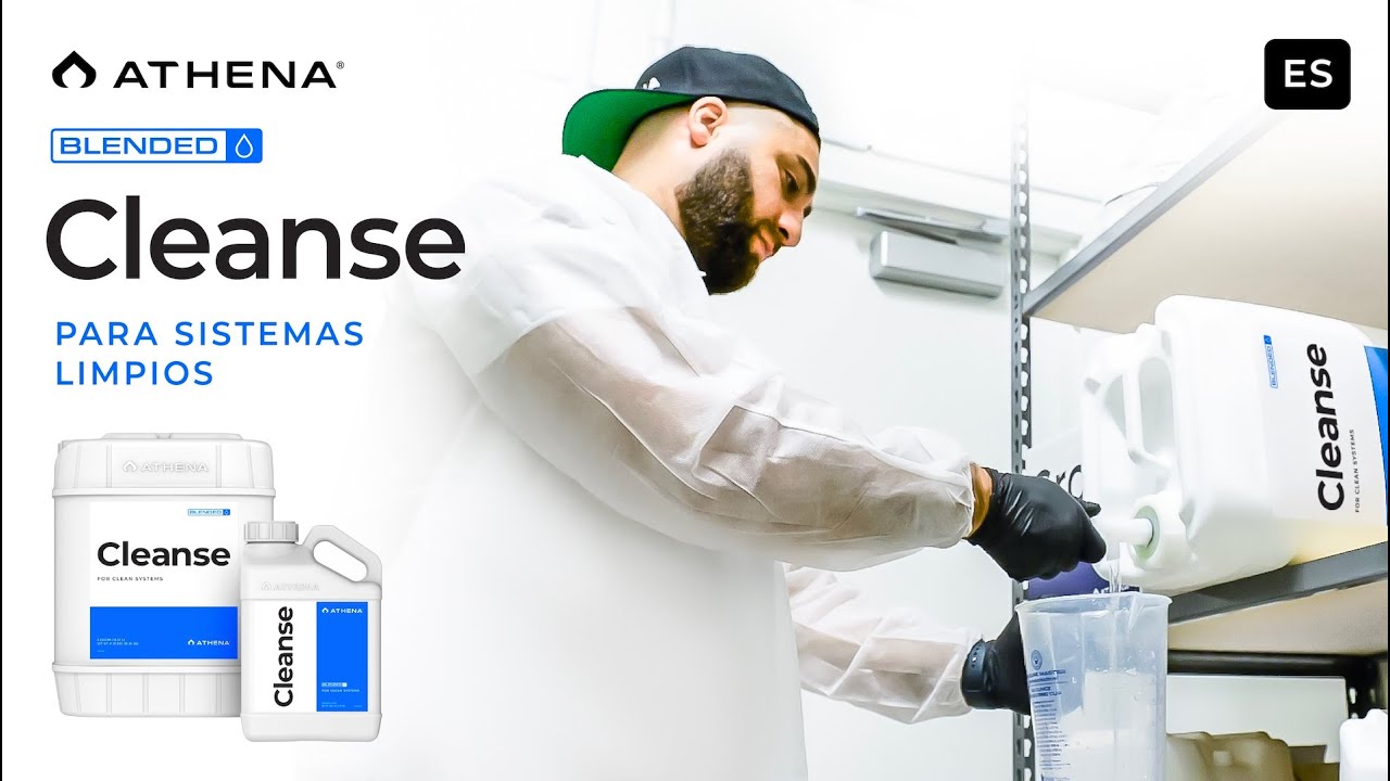 Athena Cleanse – Para Sistemas Limpios