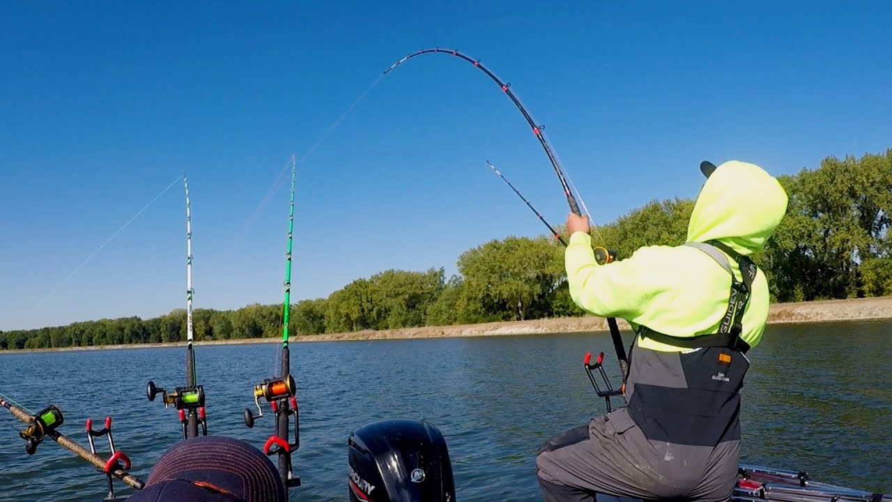 THIS Is WHY You Drag For BIG Blue CATFISH!!