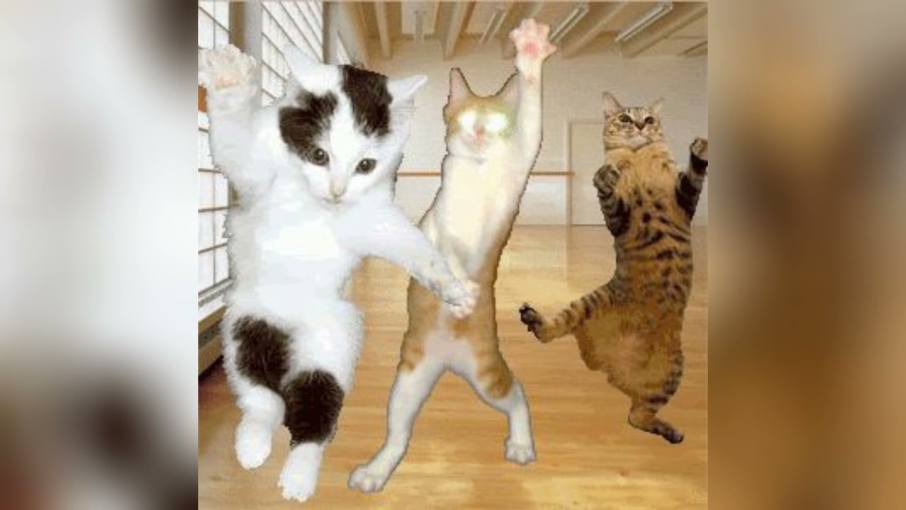 rock this party - bob sinclair (sped up)