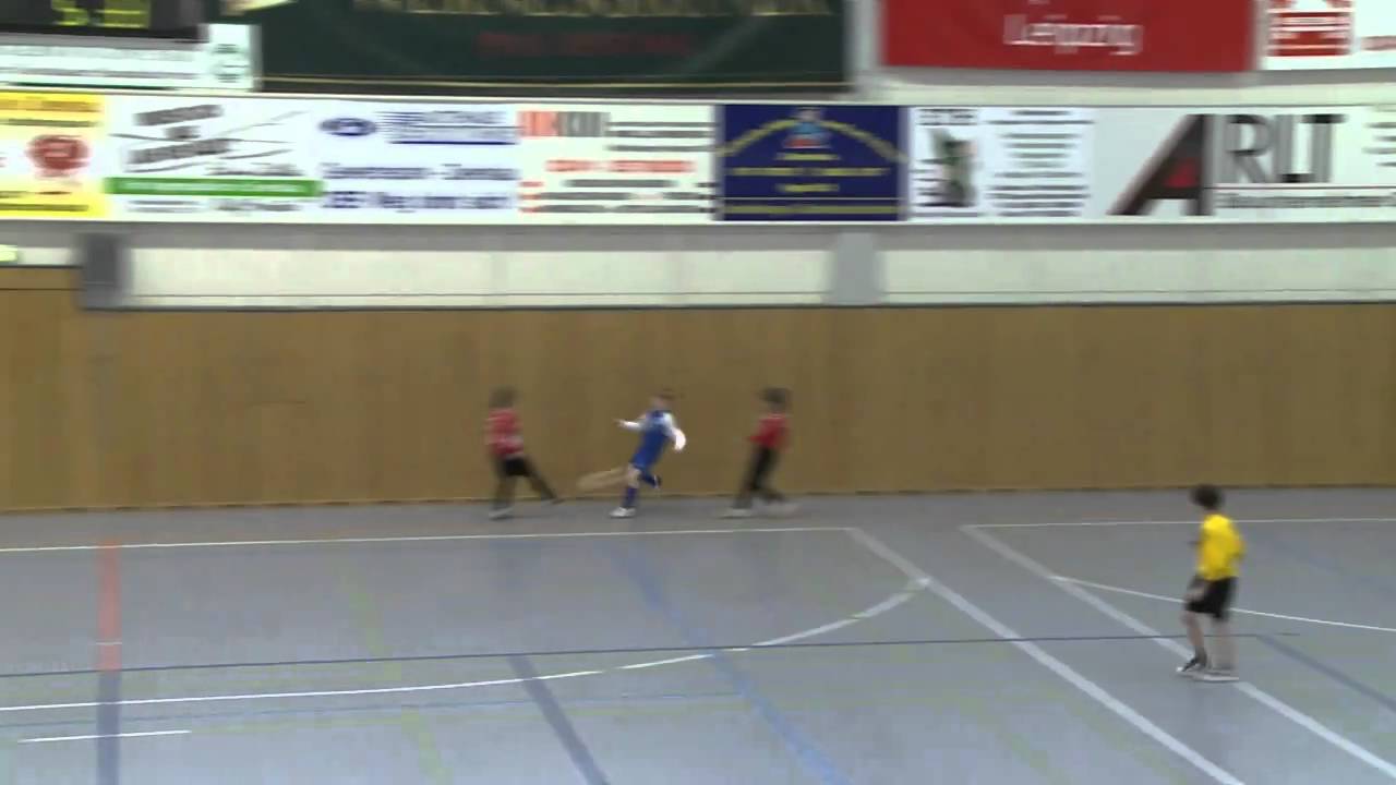 12. Stadthallencup 2011 des VfB Zwenkau