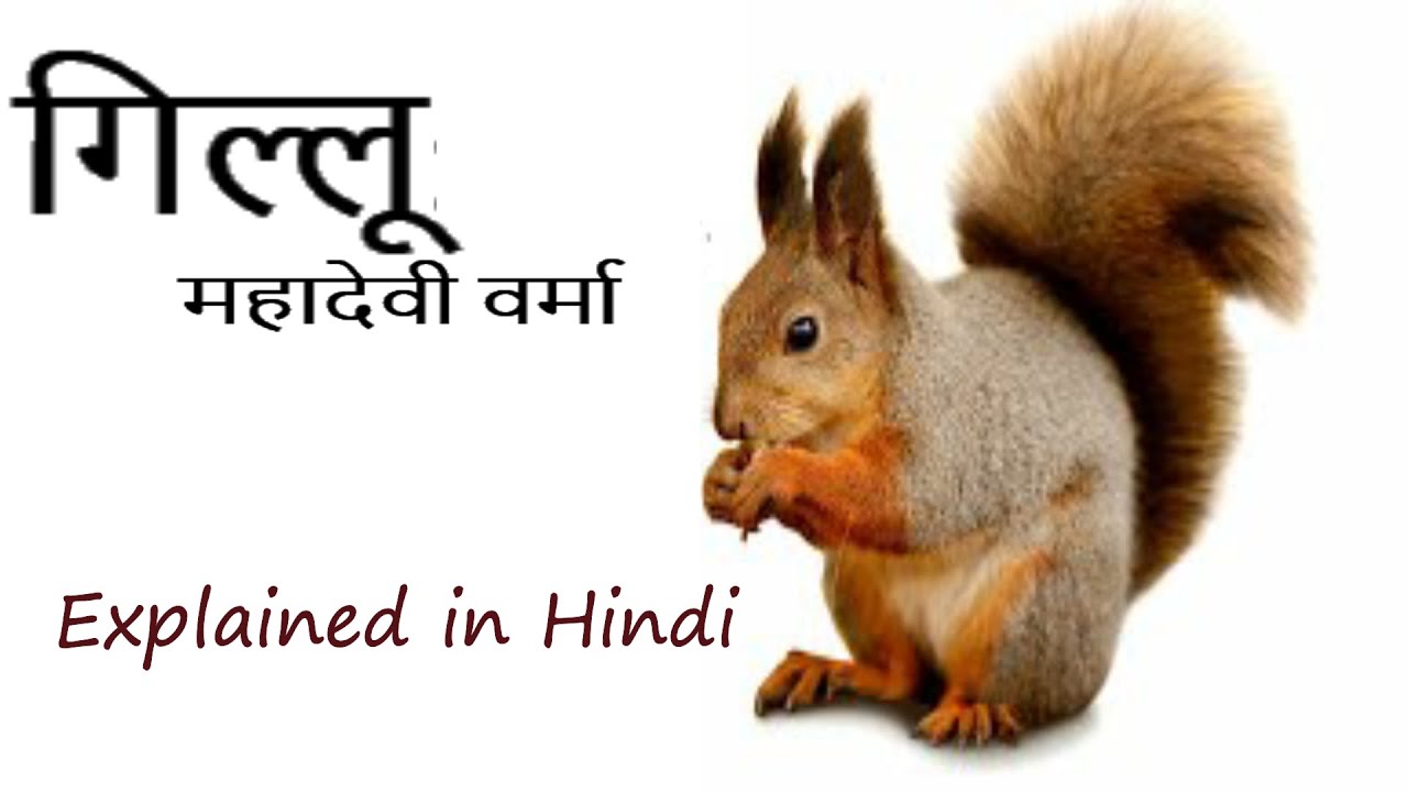 Gillu(Mahadevi Verma)-Explained in Hindi-Dr Sophia Rajan
