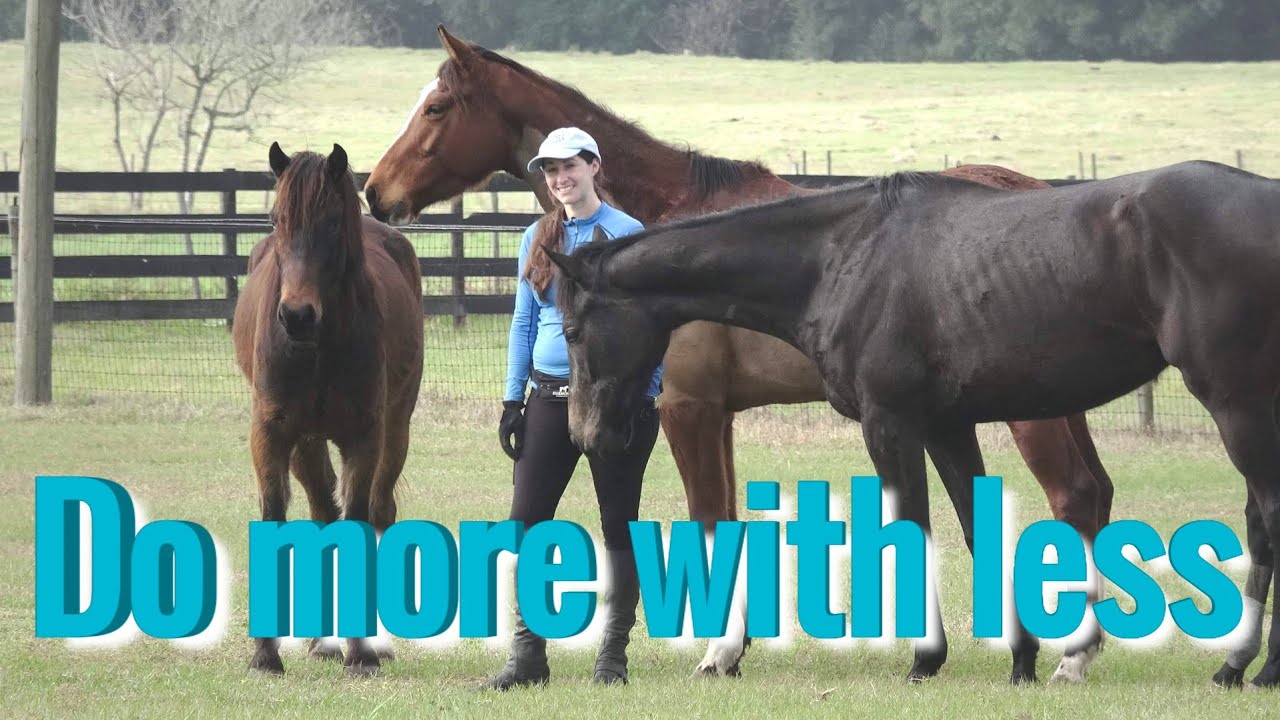 Do more with less; Harmony Horsemanship, Horse Training + Real Country Mom Life | Lindsey Partridge