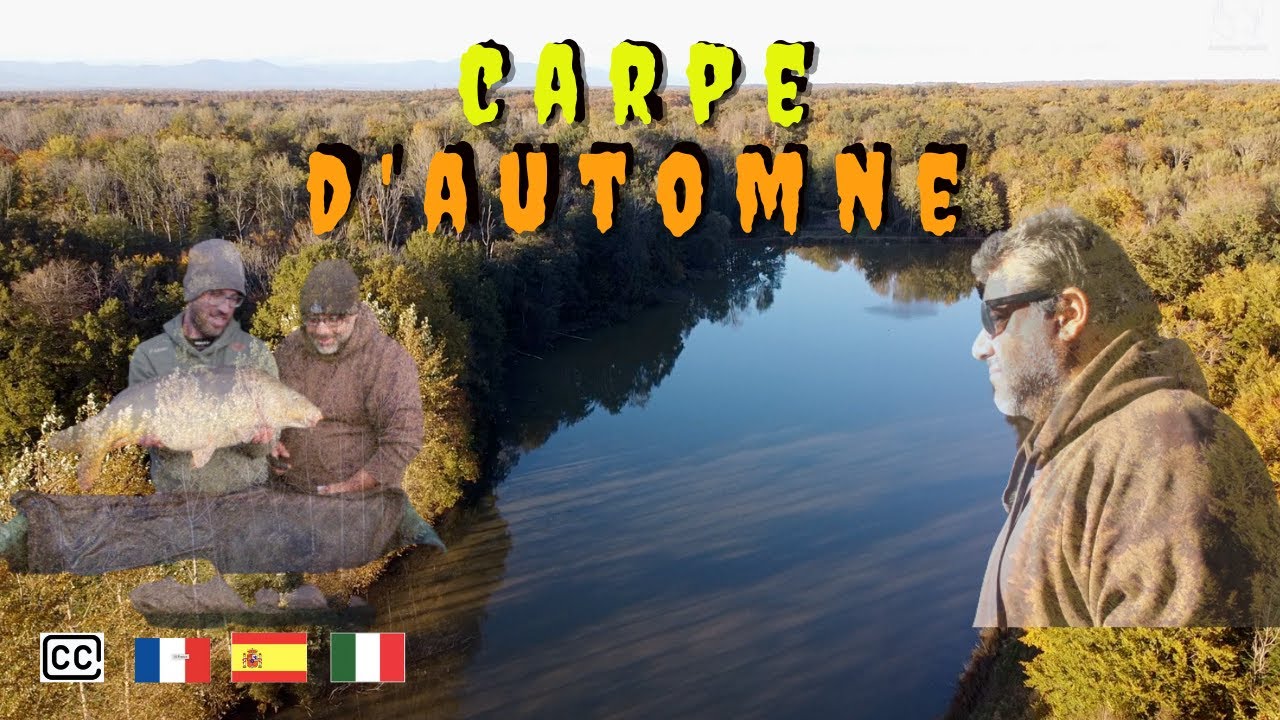 CARPE D'AUTOMNE - p&ecirc;che de la carpe
