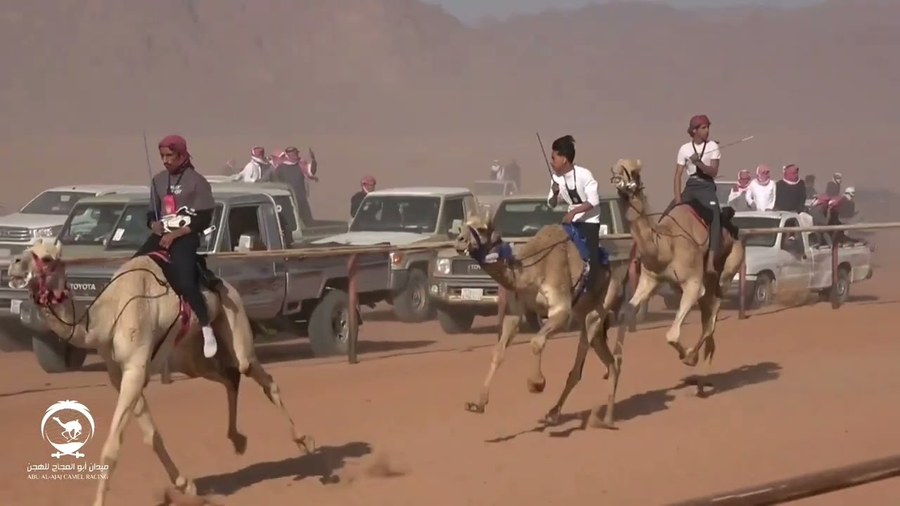 شوط الماراثون(شوط القعود) من 6كم(الماهر)لـ ياسر محمد الضيوفي ٨-٨-١٤٤٦هـ /٧-٢-٢٠٢٥م
