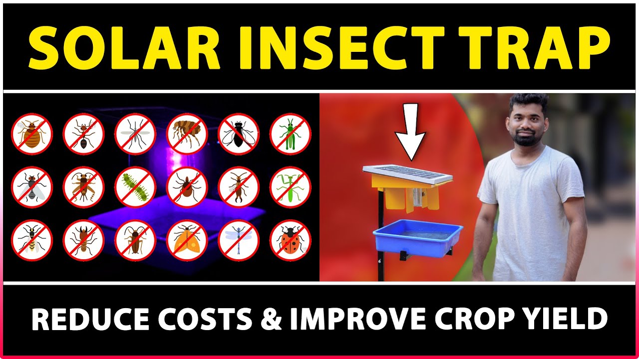 Solar Light Insect Trap | Best Solar Pest Control Device for Agriculture
