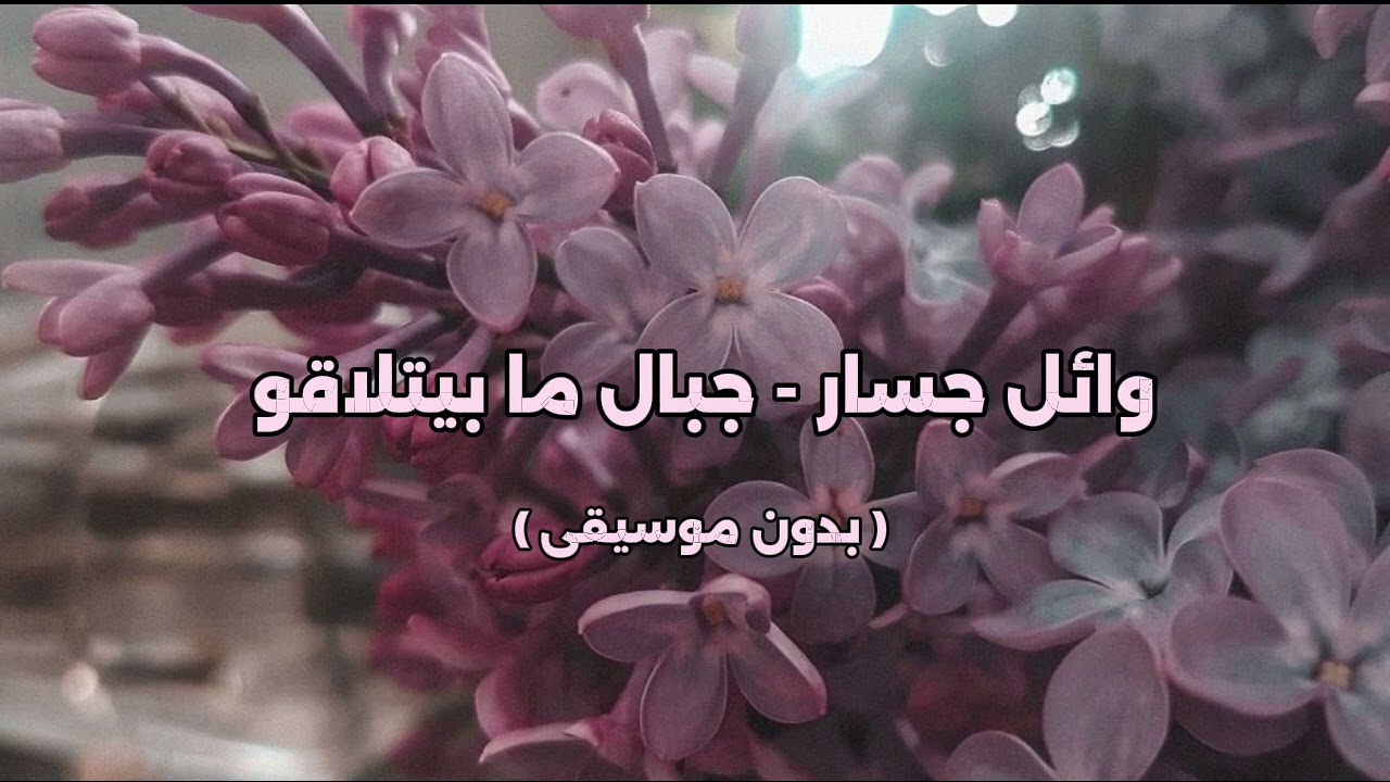 وائل جسار - جبال ما بيتلاقو ( بدون موسيقى )