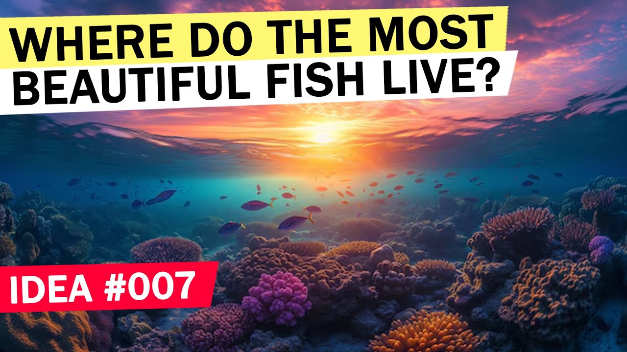 TOP 13 places in the world 🪼🐠🐡 for snorkeling and diving enthusiasts!