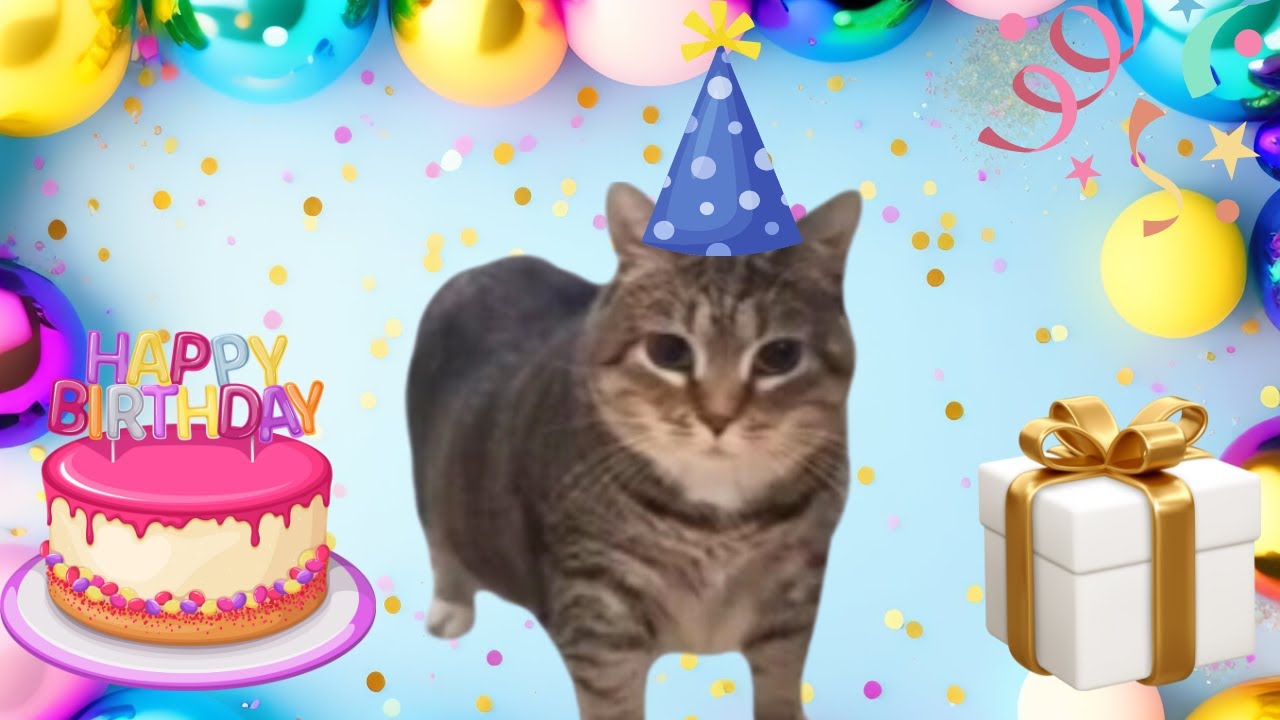OIIAOIIA Spinning Cat X Happy Birthday 🎂 🎁