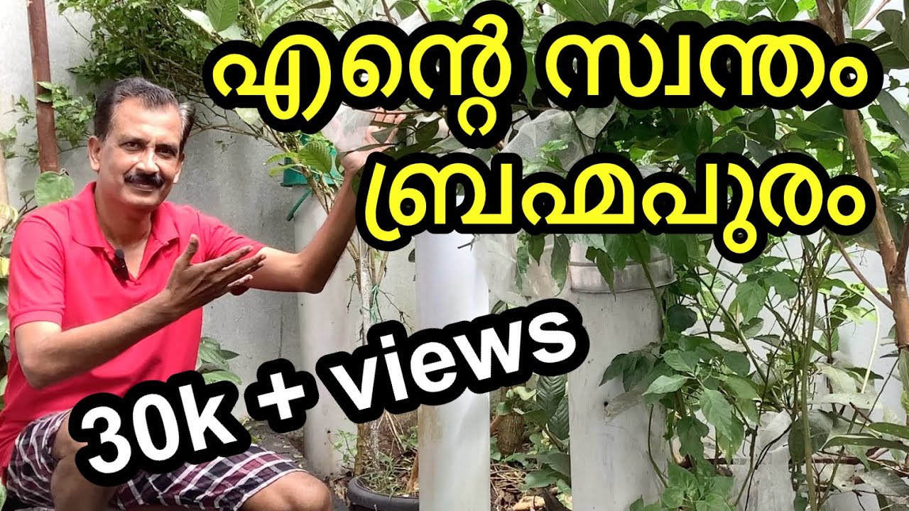 PIPE COMPOST 8 വർഷമായി എന്റെ വീട്ടിൽ ഞാൻ തന്നെ ചെയ്യുന്ന സമ്പൂർണ്ണ അടുക്കള മാലിന്യ സംസ്കരണം