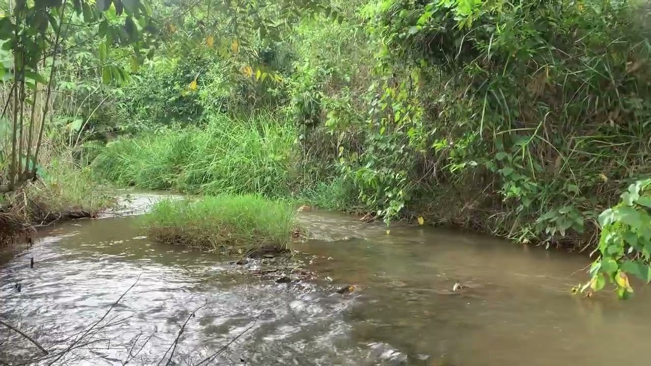 S&aacute;ch N&oacute;i - Trang Tử T&acirc;m Đắc - Nam Hoa Kinh - T&aacute;c giả : Yu Dan