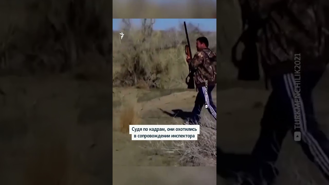 Родственники Бердымухамедовых избили людей на незаконной охоте