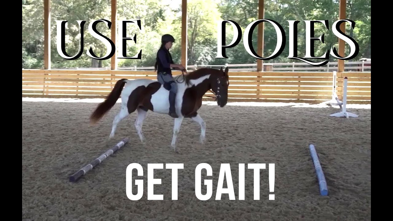 Ground poles to get GAIT! - LIVE January 2021