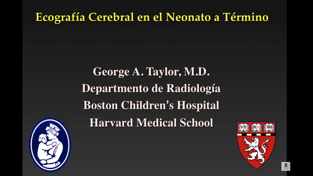 Ecografía cerebral en el neonato a termino