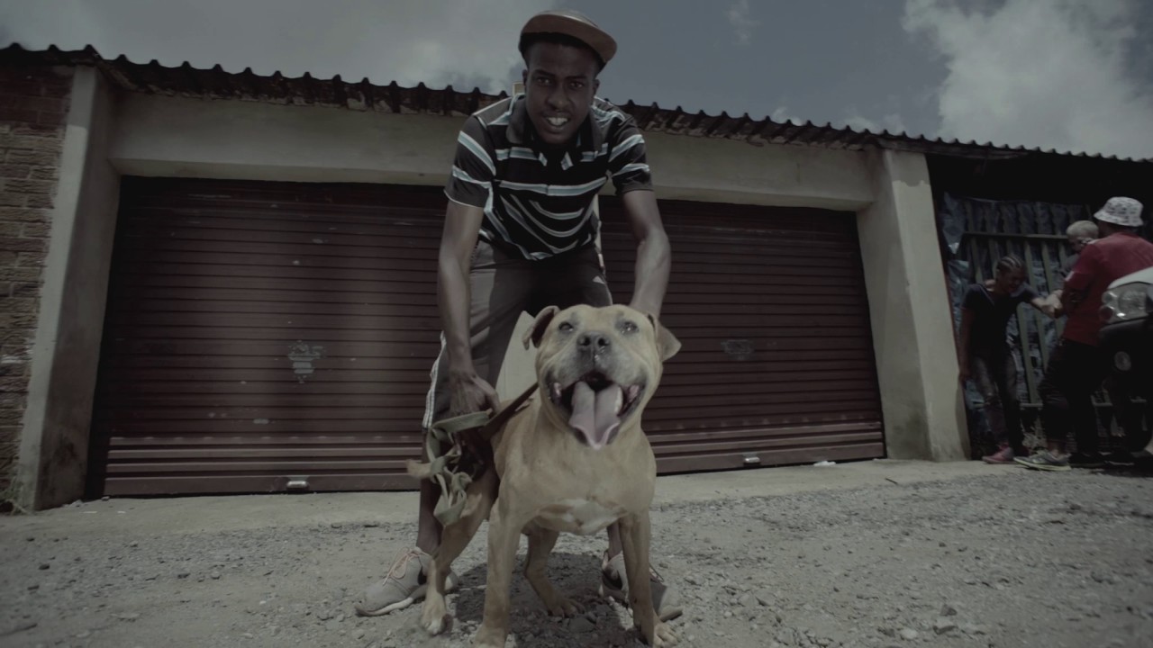 Reminisce - Asalamalekun (Official Video)