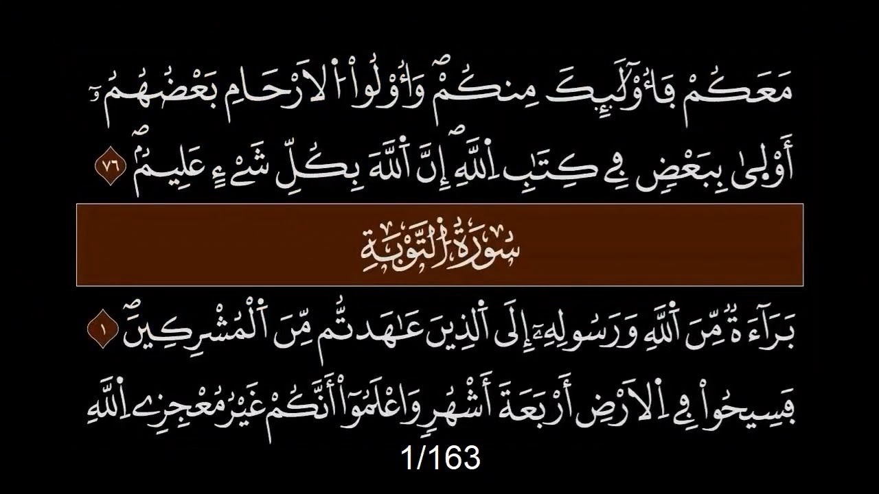 009  Taouba  التوبة   العيون الكوشي