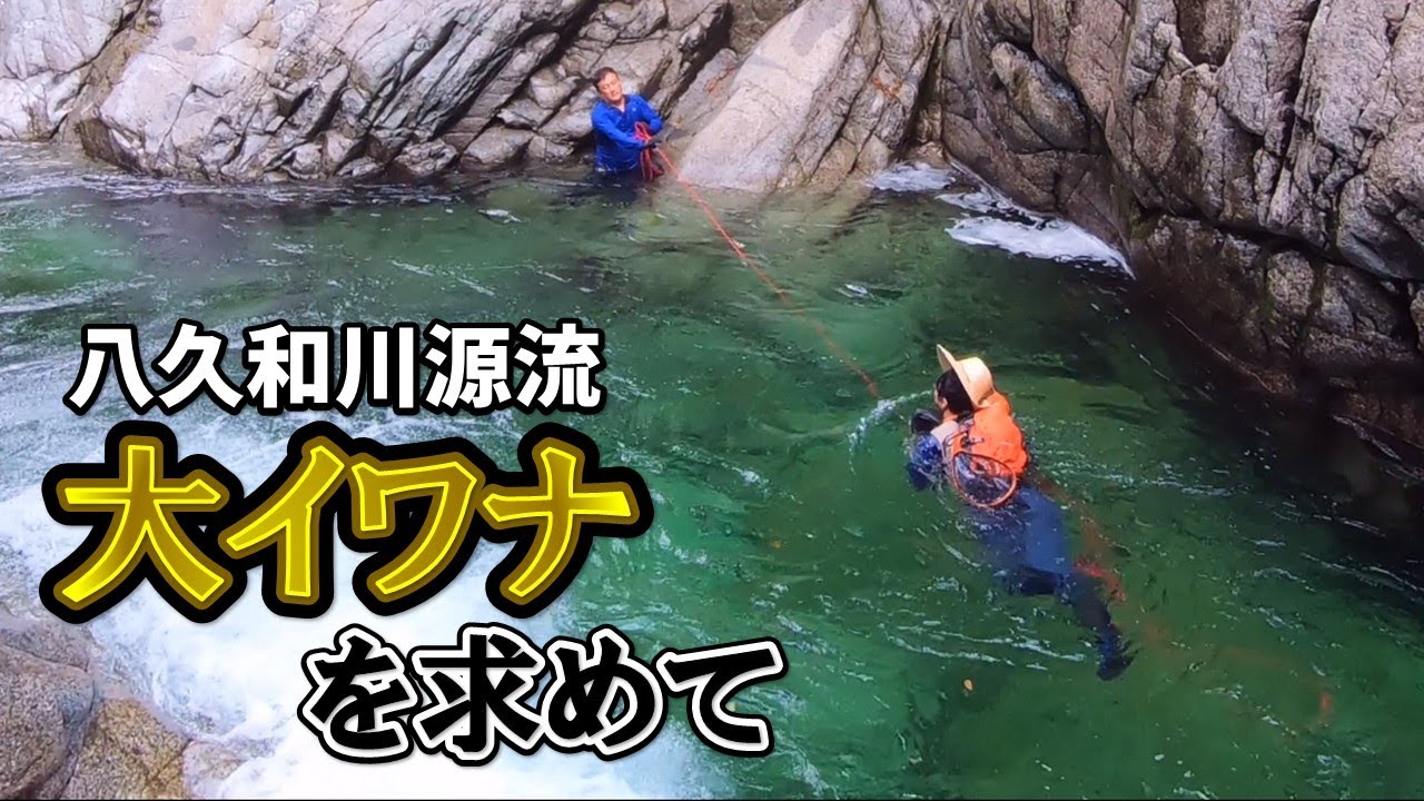 【八久和源流釣り①】大イワナうじゃうじゃ！源流マン憧れの渓へ挑む！！【三泊四日/Day1-Day2】