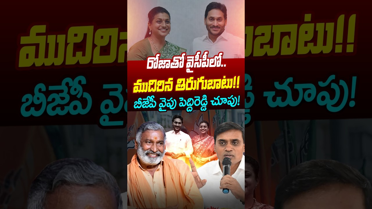 #shorts రోజాతో.. వైసీపీలో ముదిరిన తిరుగుబాటు | Peddi Reddy BJP Party | Roja | Astra Media