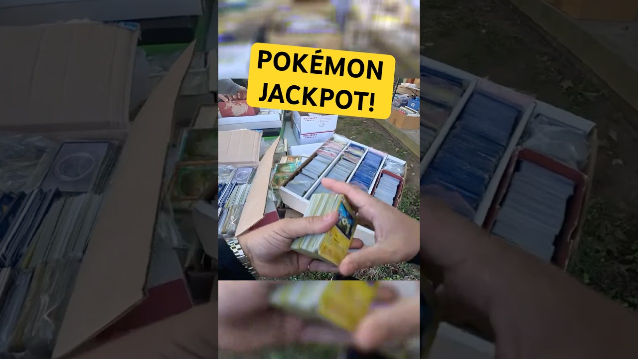 Jackpot! Discovering Vintage Pokemon and More at a Yard Sale