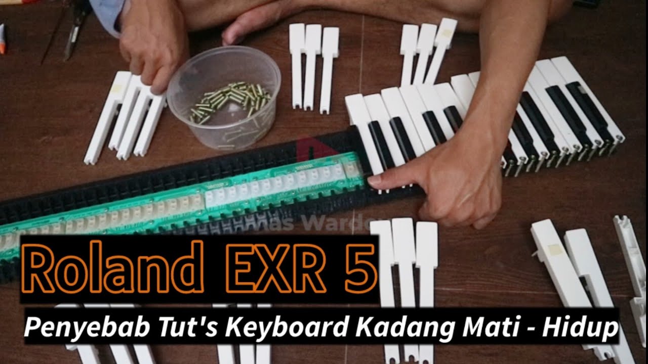 Cara Mudah Memperbaiki Tut's Keyboard Yang Rusak | ROLAND EXR 5