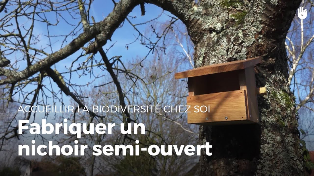 Fabriquer un nichoir semi-ouvert | Fabriquer des abris pour animaux