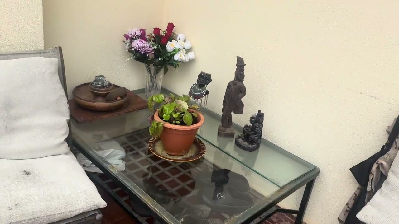 بداية أسبوع جديدة بي الهنا والسرور أميراتي دخلوا تسمعو كدوب  انتاع زرمومية تلاحي كدبي في جهة اخرى 🤌🤌