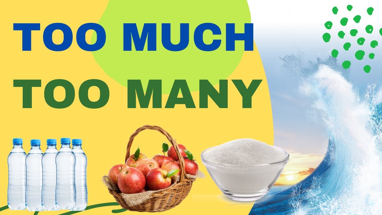 Basic English Grammar &ndash; TOO MUCH, TOO MANY- Many, much