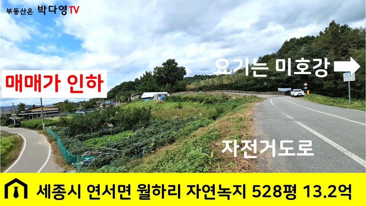 세종시 토지 - 금액 내림/ 연서면 월하리 자연녹지 528평 매매 13.2억
