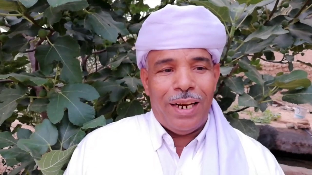 اولاد خضير : الأجواء الإحتفالية بعيد الفطر المبارك