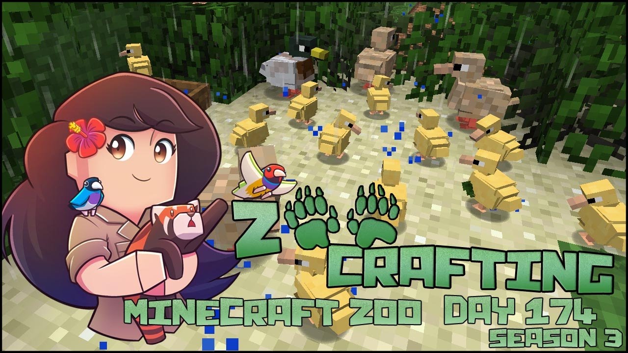Surrounded by Tiny Ducklings!! 🐘 Zoo Crafting: Episode #174