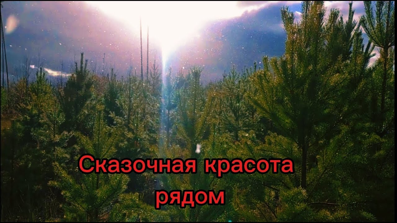 Карьер Тахтамышево. Сказочный первый снег.