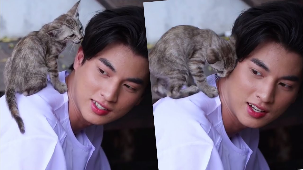 กลัฟ คณาวุฒิ โมเมนท์ทาสเหมียว เสียววาบ! น้องแมวคลอเคลียเลียหู อยากเกิดเป็นน้อนนนน