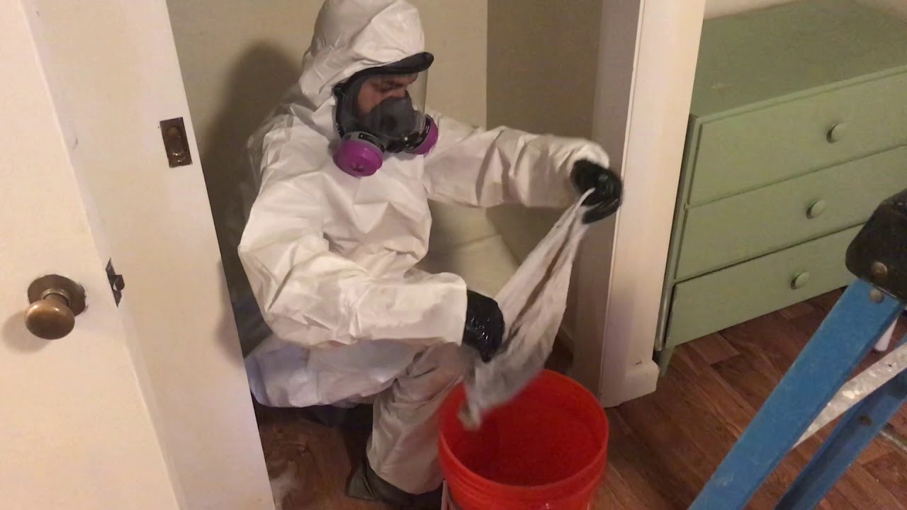Mold Containment and Remediation | SERVPRO of Greenwich