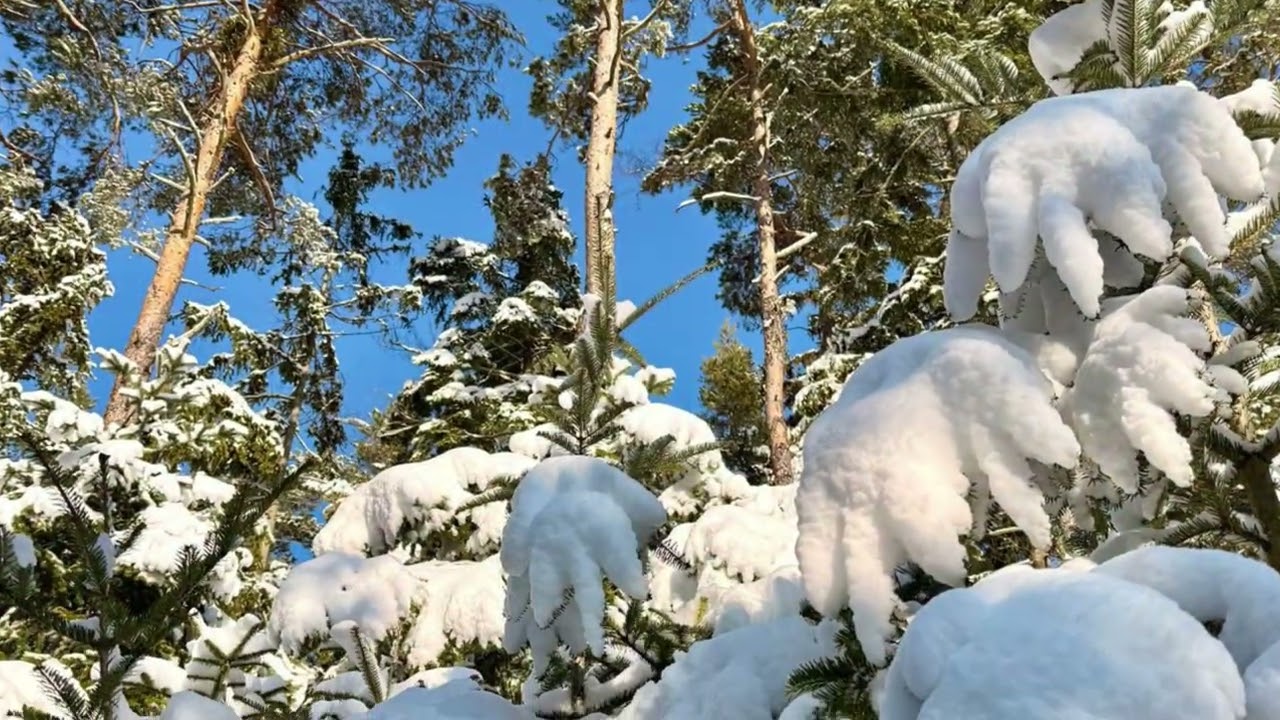 Ein herrlicher Wintertag im Februar