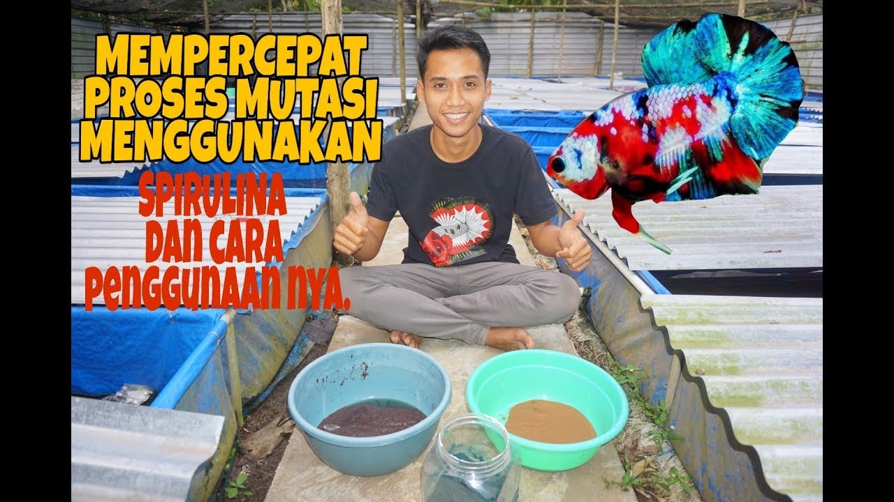 MEMPERCEPAT PROSES MUTASI MENGGUNAKAN 