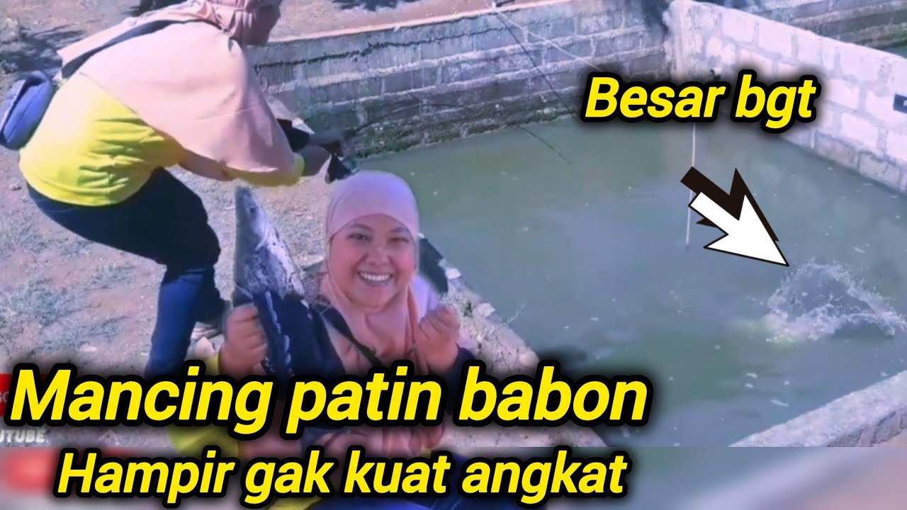 Mancing di sini paling mudah umpan turun langsung di sambar #mancinggacor #mancingpatin 