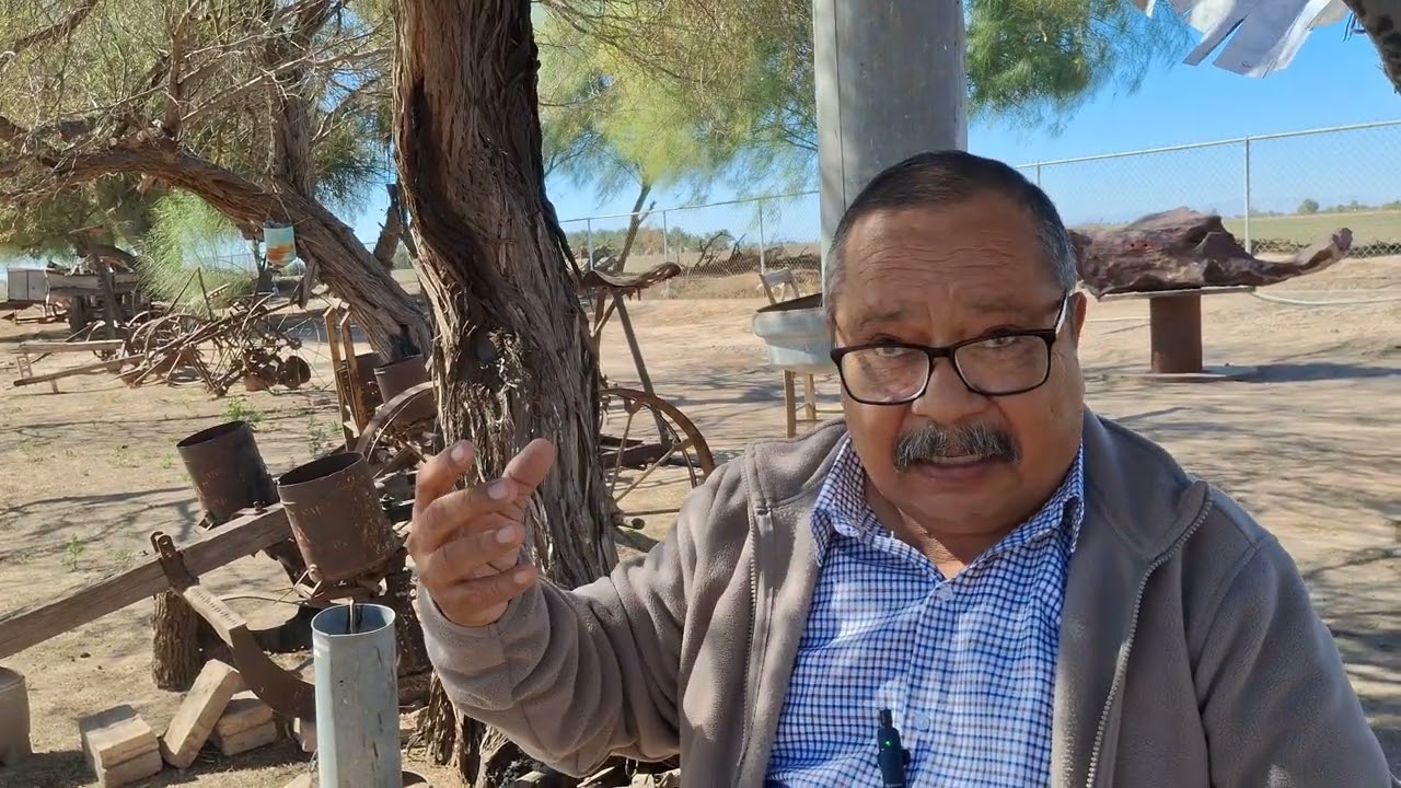 ENTREVISTA PROFR. FELIPE OLGUÍN 