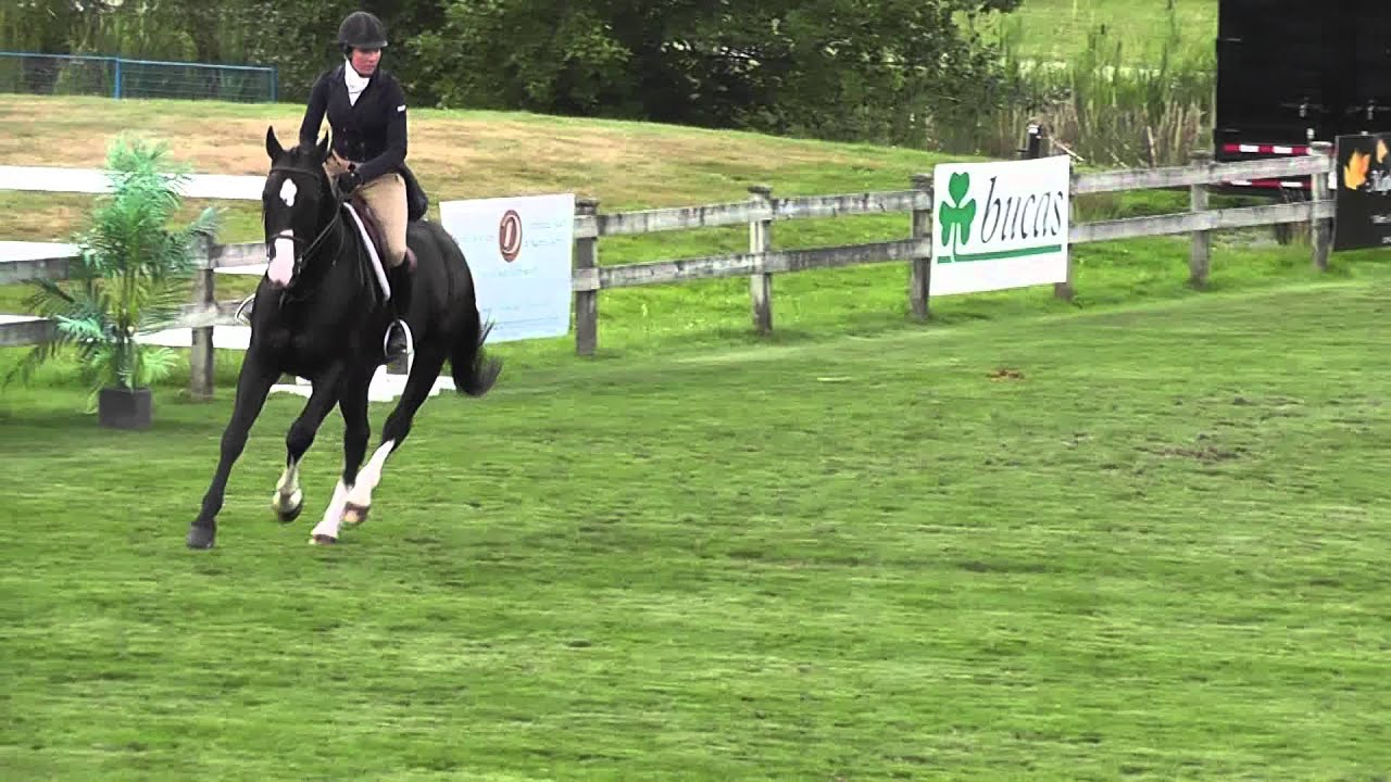 Kubic- Thunderbird hunter derby