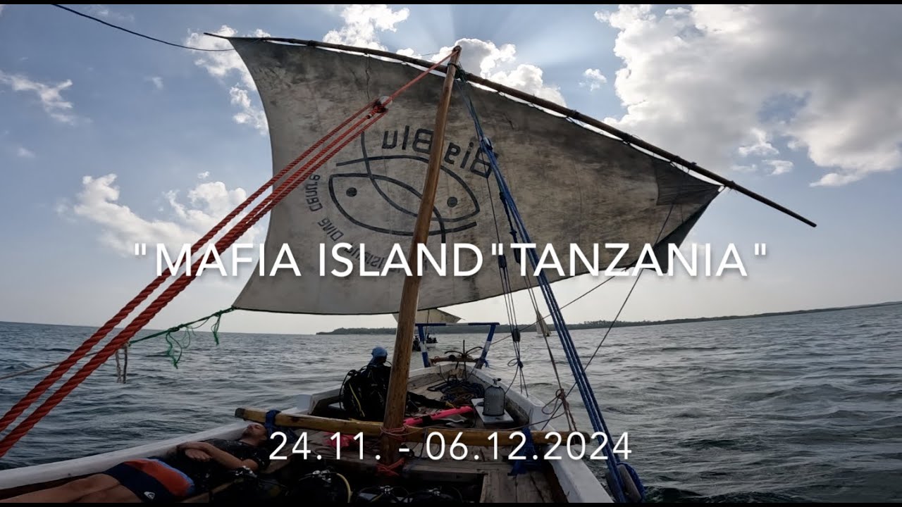 “Mafia Island” Tanzania (24.11.-06.12.2024)
