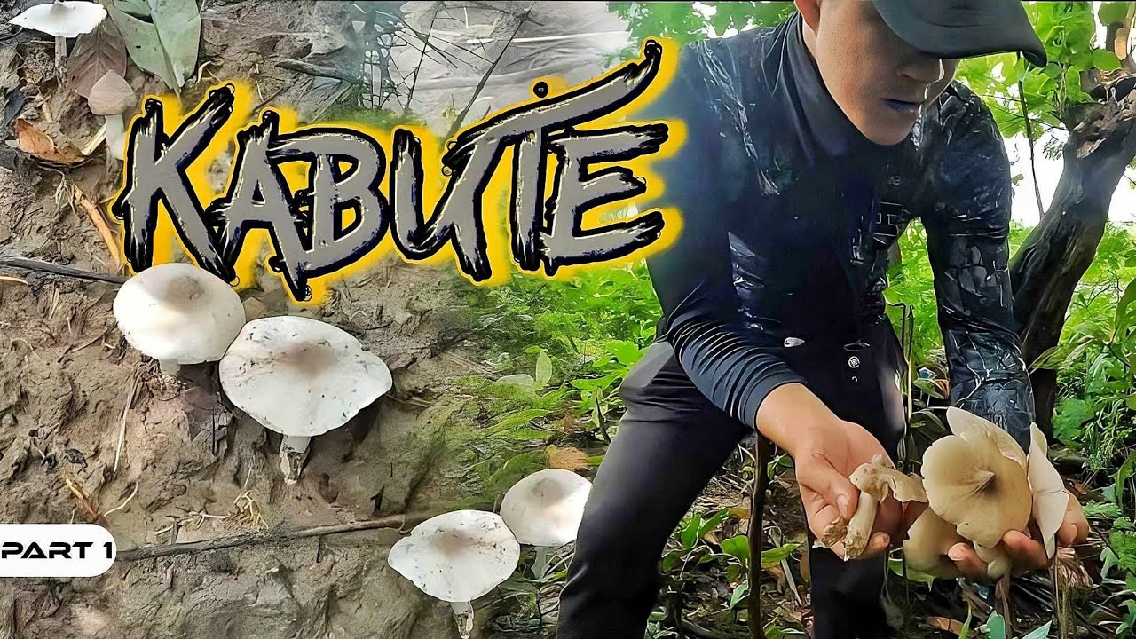 P1-Pangunguha ng Kabute - EP1094