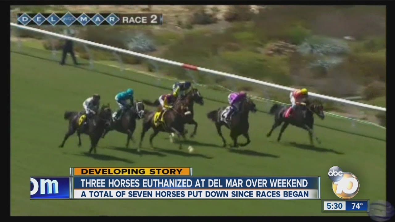 Seven horses euthanized in Del Mar's first eight days of races