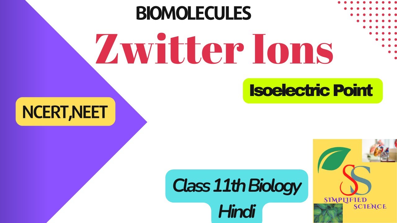 What is Zwitter Ion?// Zwitter ionic form of Amino acids,Class 11,NCERT ,NEET