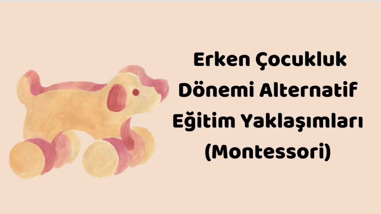 Hangi Sertifikaları Almalıyım? Bölüm 2 | Sertifika isimlerini öneriyorum 📝